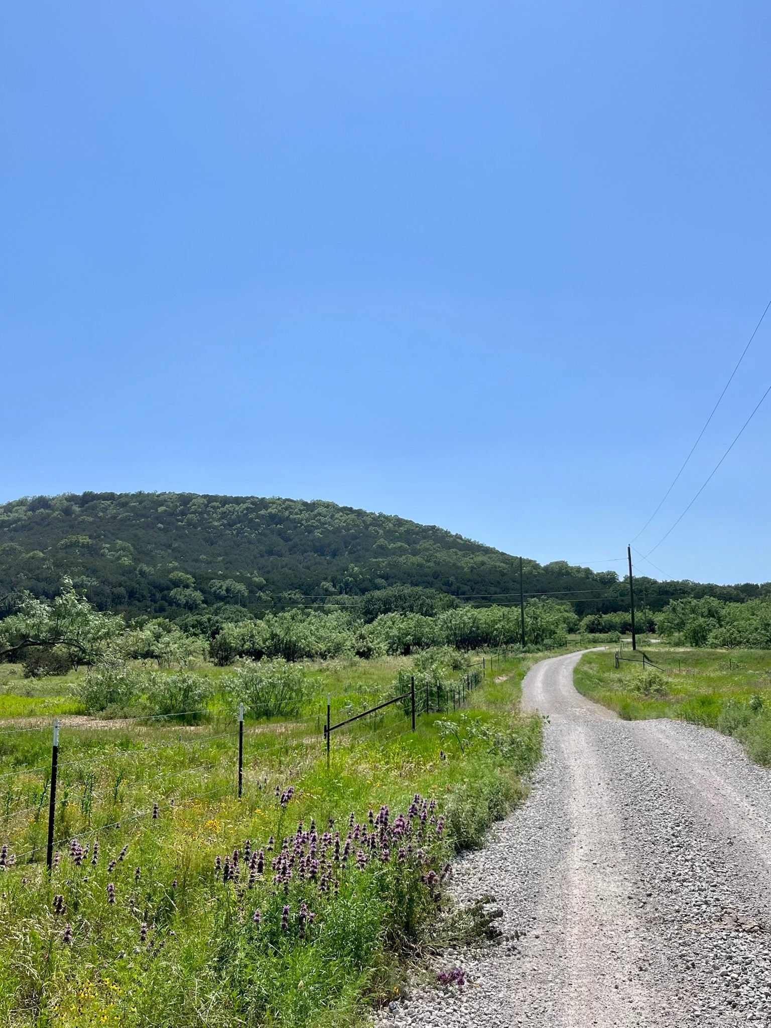 Highway 16 Co Road 494 Co Road 494 Ranger TX 76470