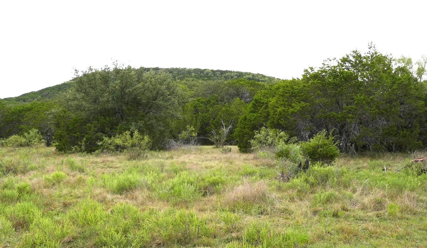 Highway 16 Co Road 494 Co Road 494 Ranger TX 76470