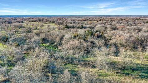 Tbd 87 Acres Reynolds Lane Sherman TX 75092