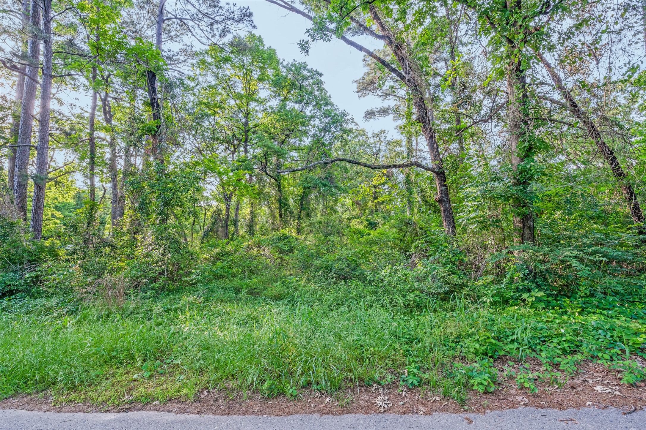 0 Forest Hill Drive Frankston TX 75763