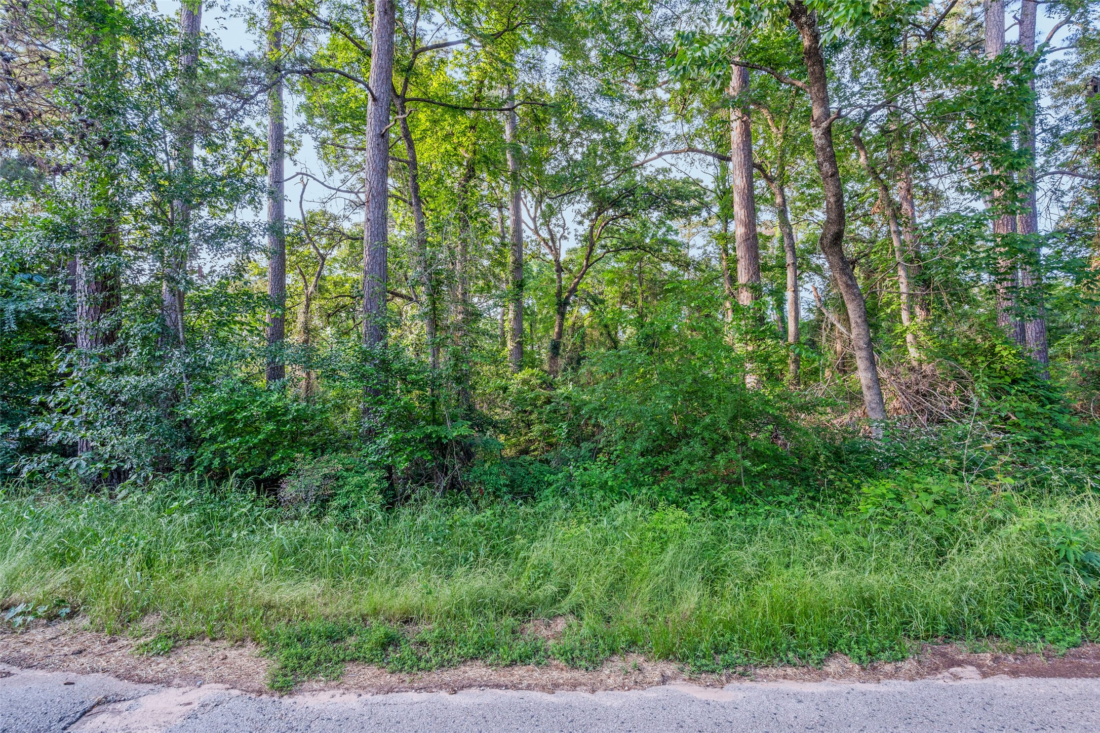 0 Forest Hill Drive Frankston TX 75763