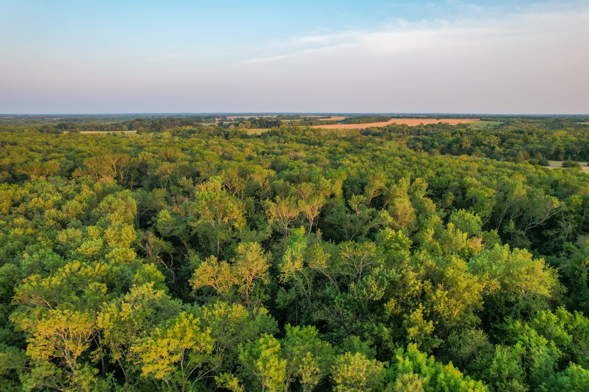Tbd County Road 3550 Honey Grove TX 75446