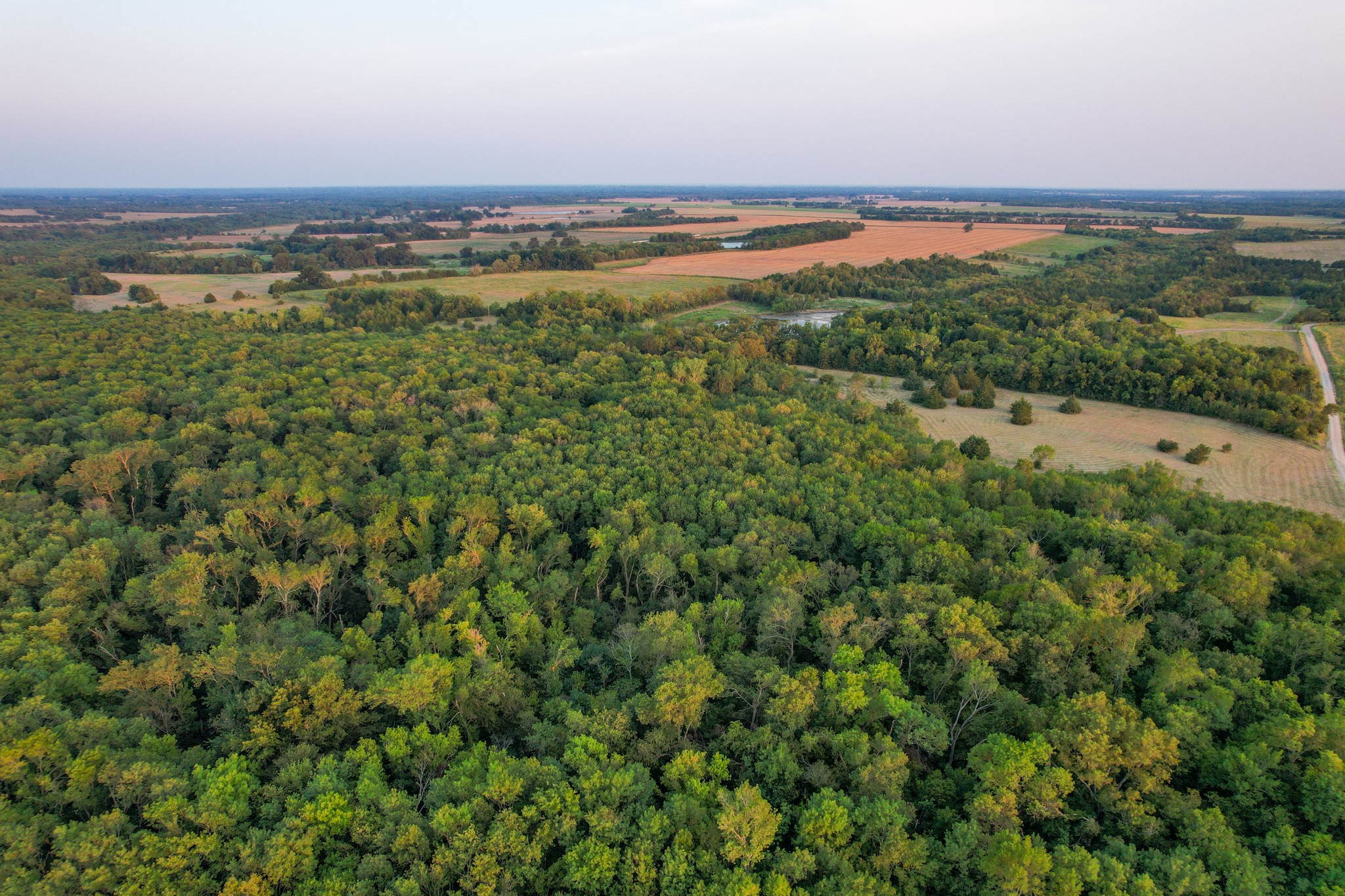 Tbd County Road 3550 Honey Grove TX 75446