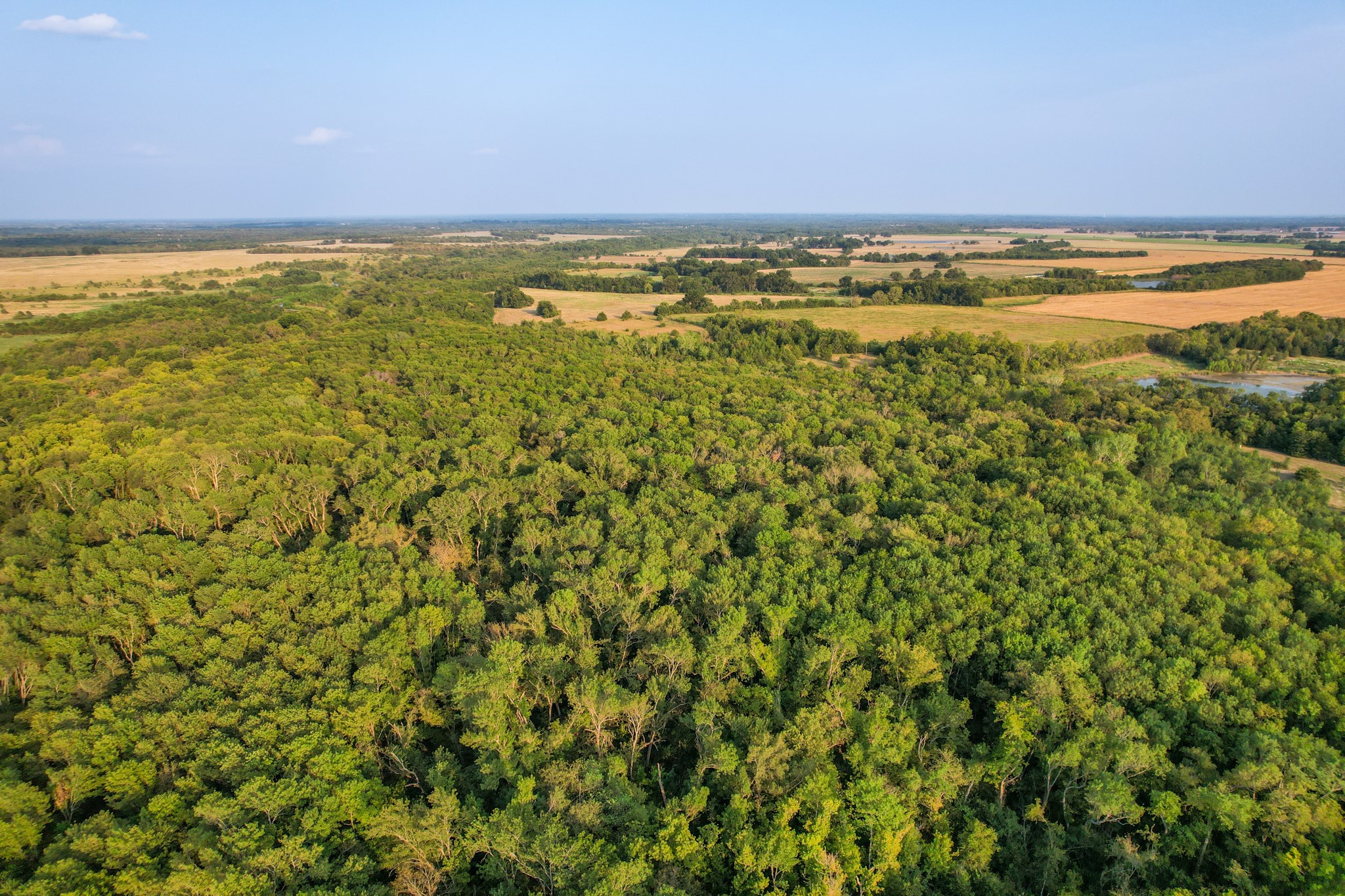 Tbd County Road 3550 Honey Grove TX 75446