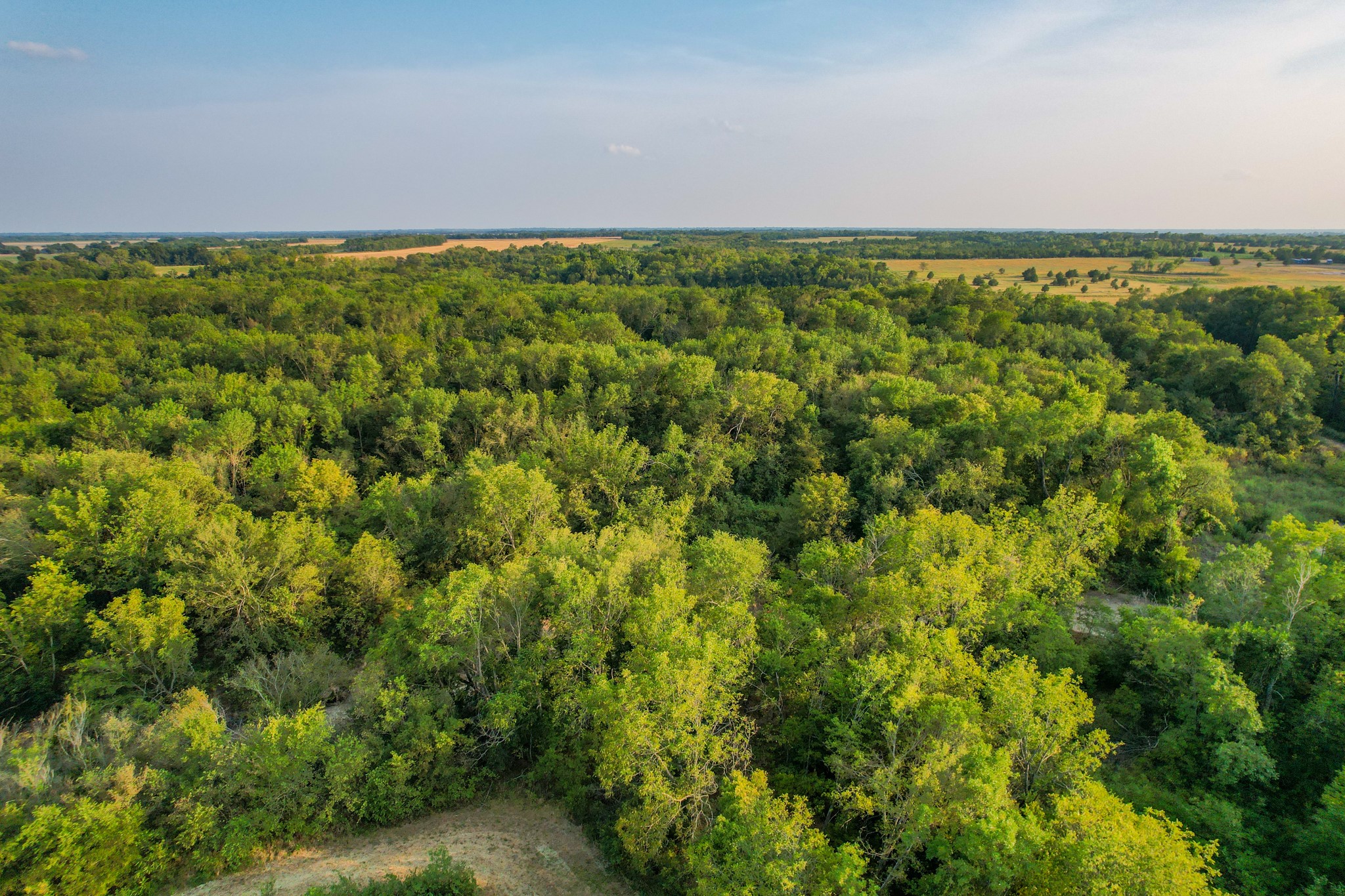 Tbd County Road 3550 Honey Grove TX 75446