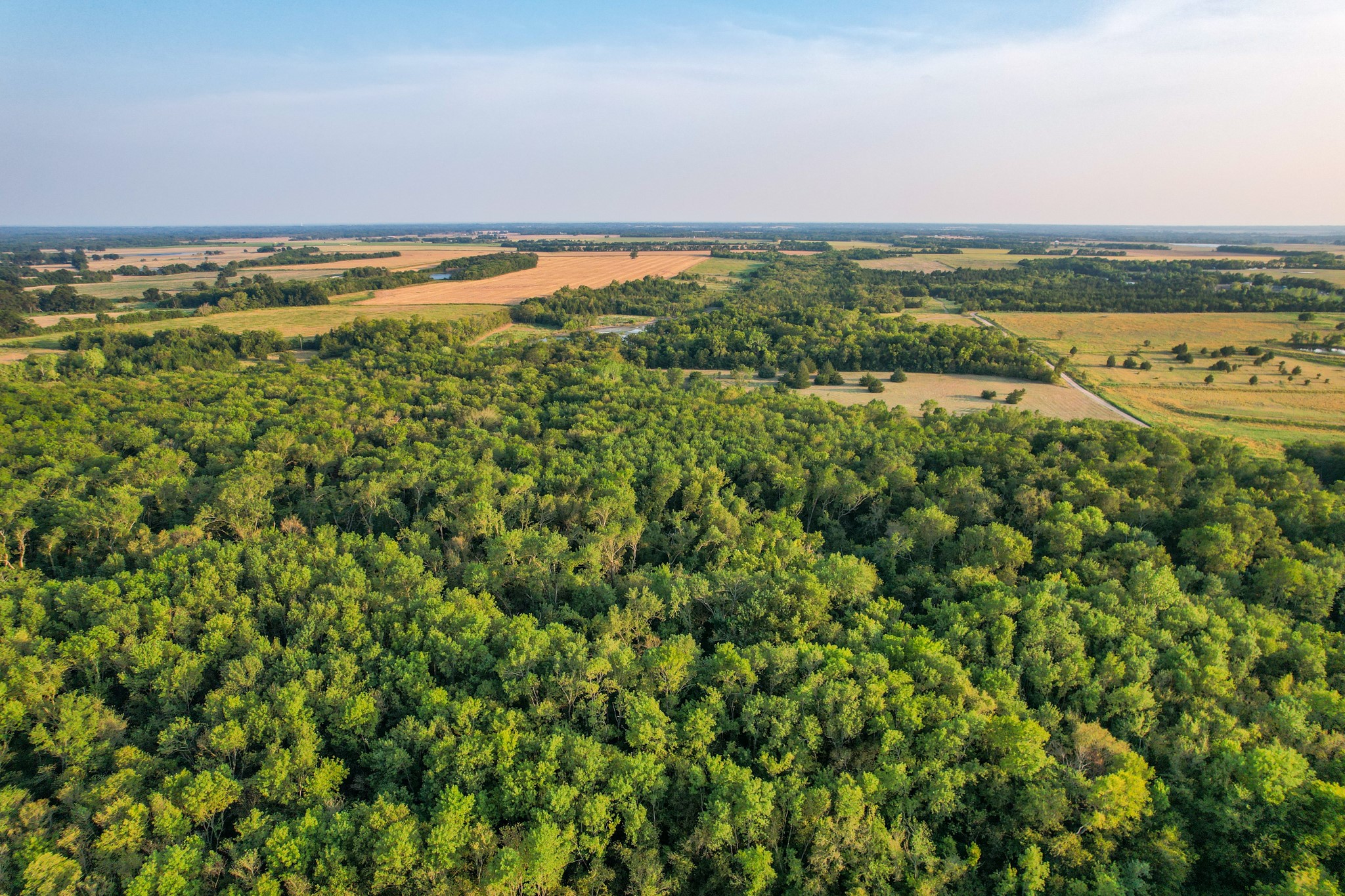 Tbd County Road 3550 Honey Grove TX 75446