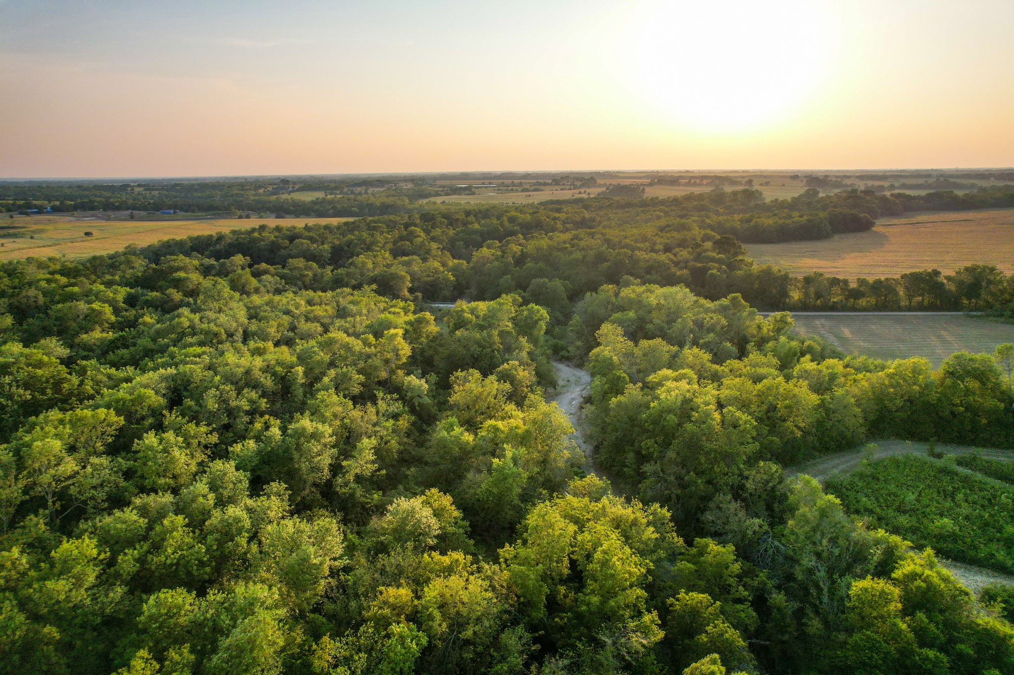 Tbd County Road 3550 Honey Grove TX 75446