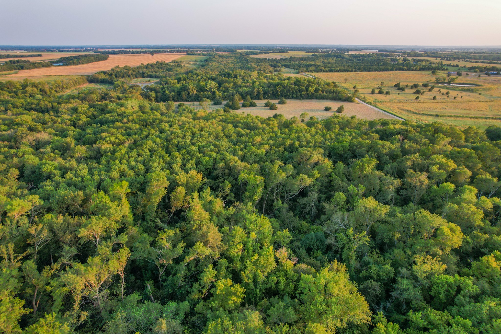 Tbd County Road 3550 Honey Grove TX 75446