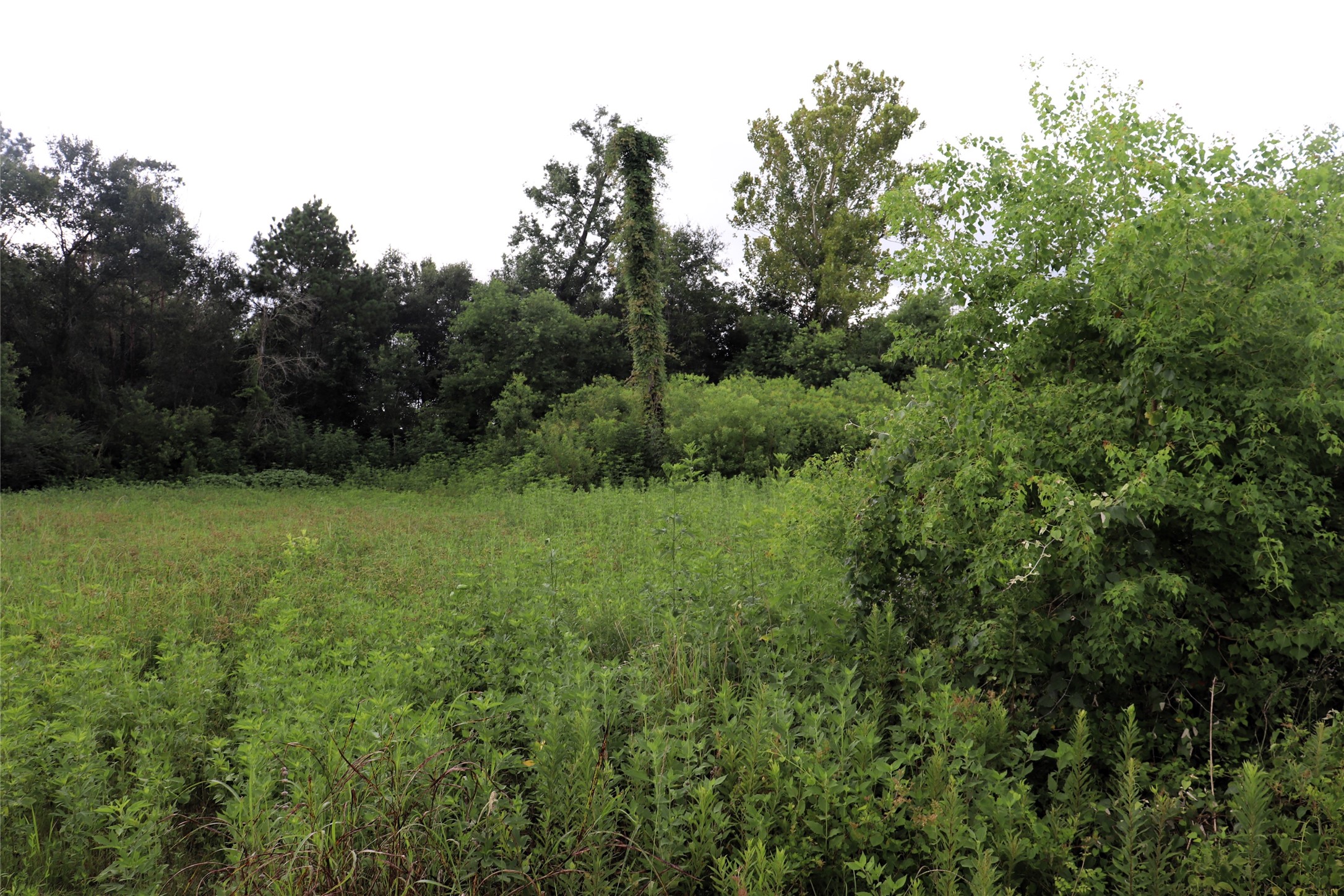 2.8 Ac Highway 90 Devers TX 77575
