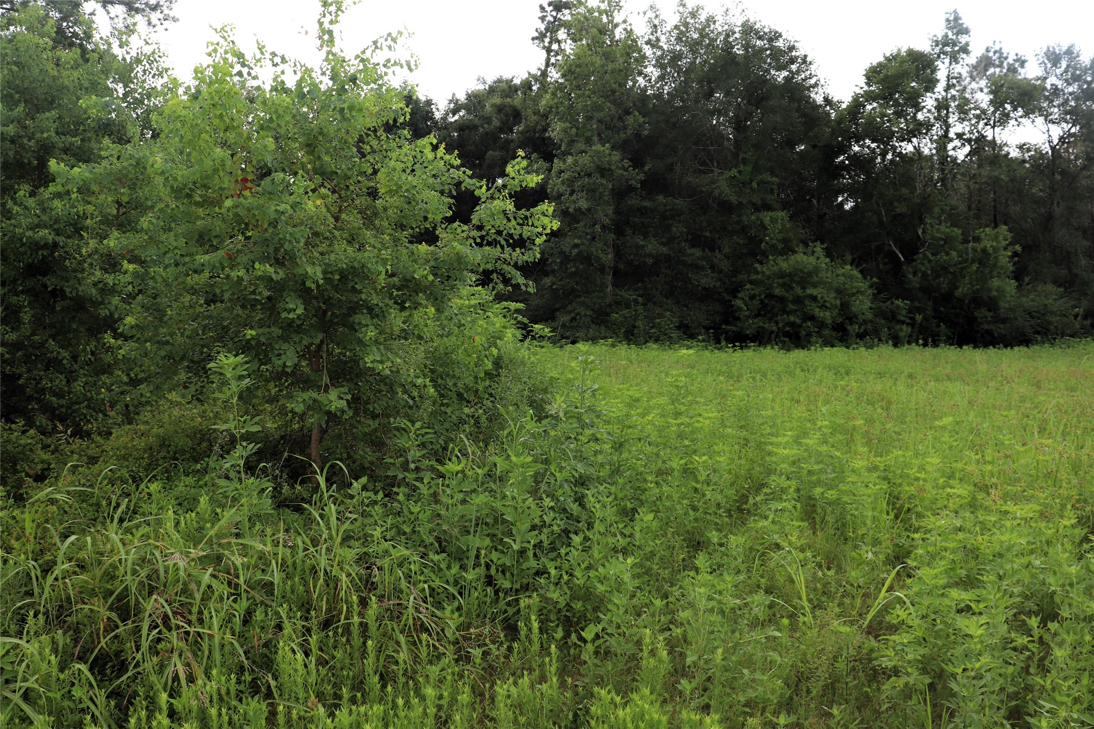 2.8 Ac Highway 90 Devers TX 77575
