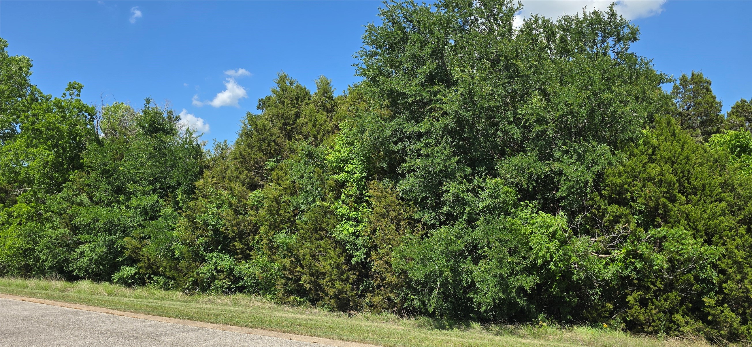 7721 Prestwick Drive Cleburne TX 76033