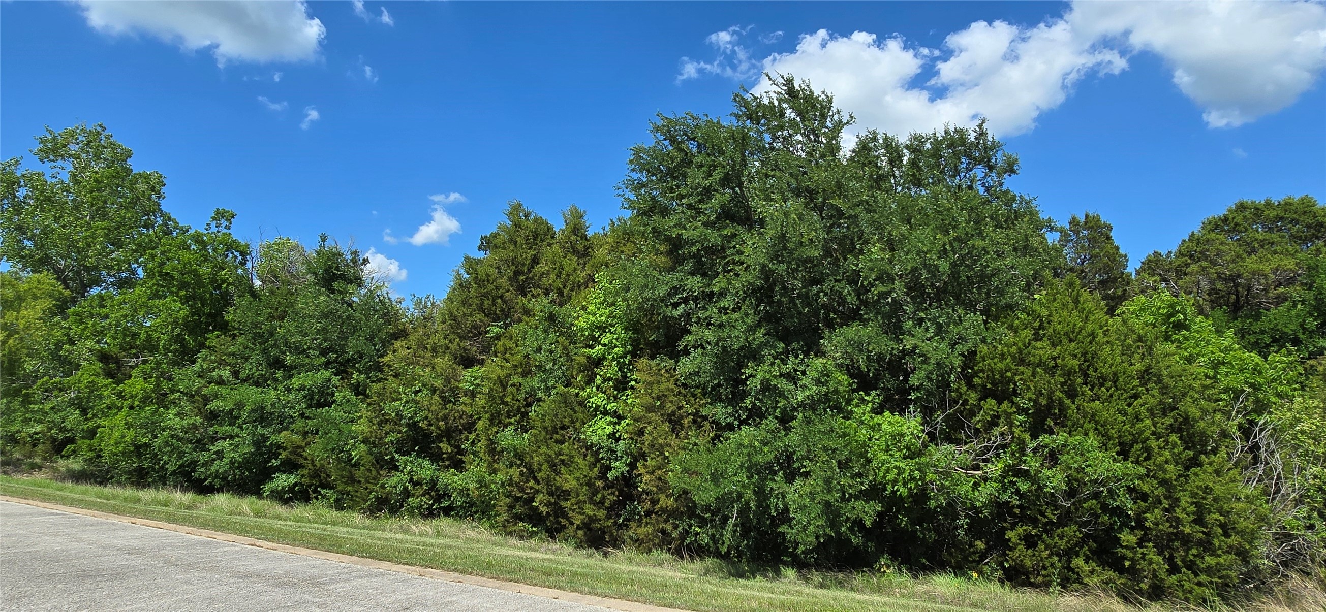 7721 Prestwick Drive Cleburne TX 76033