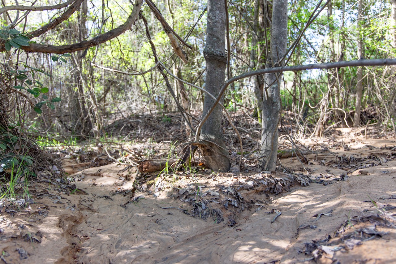 Tbd Ridgeline Loop Winona TX 75792