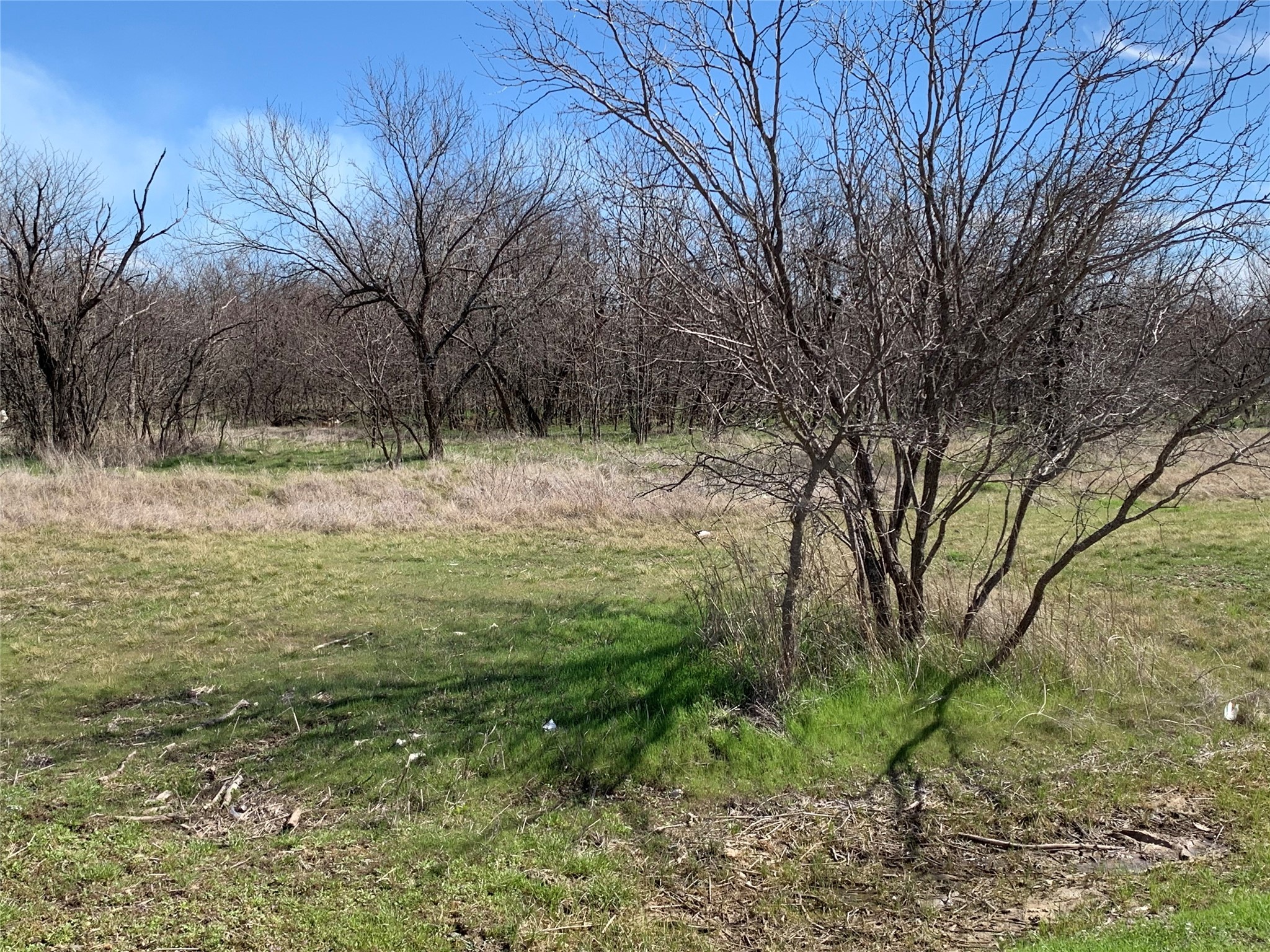 518 Sleepy Meadow Drive Bridgeport TX 76426