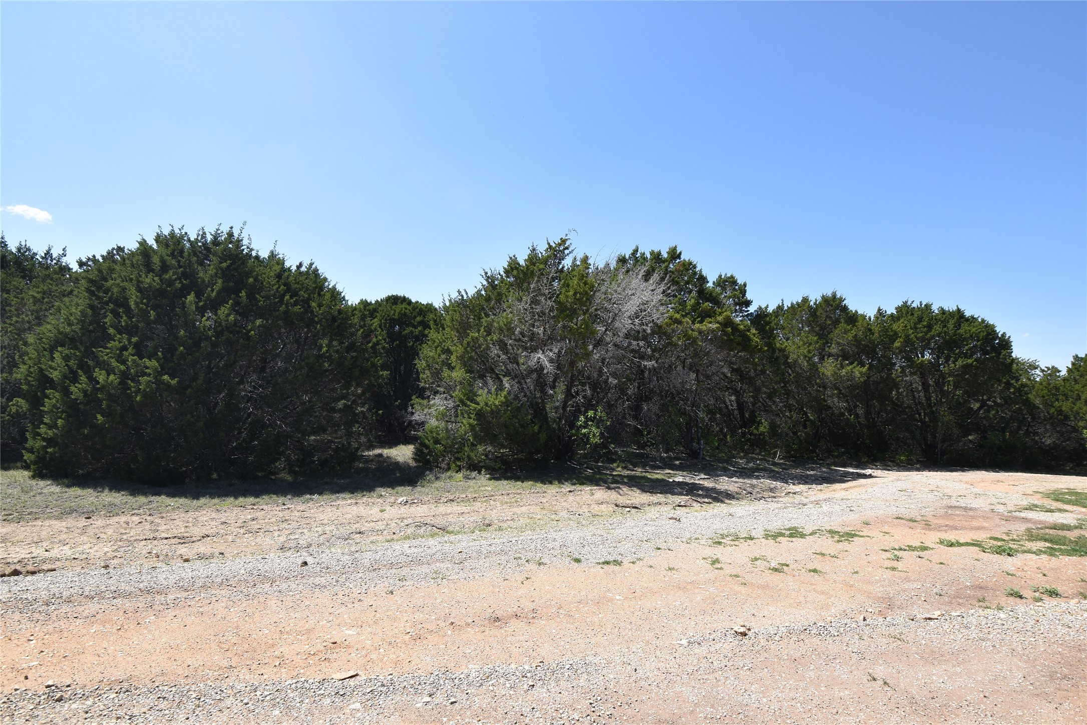 1695 Red Bud Court Whitney TX 76692
