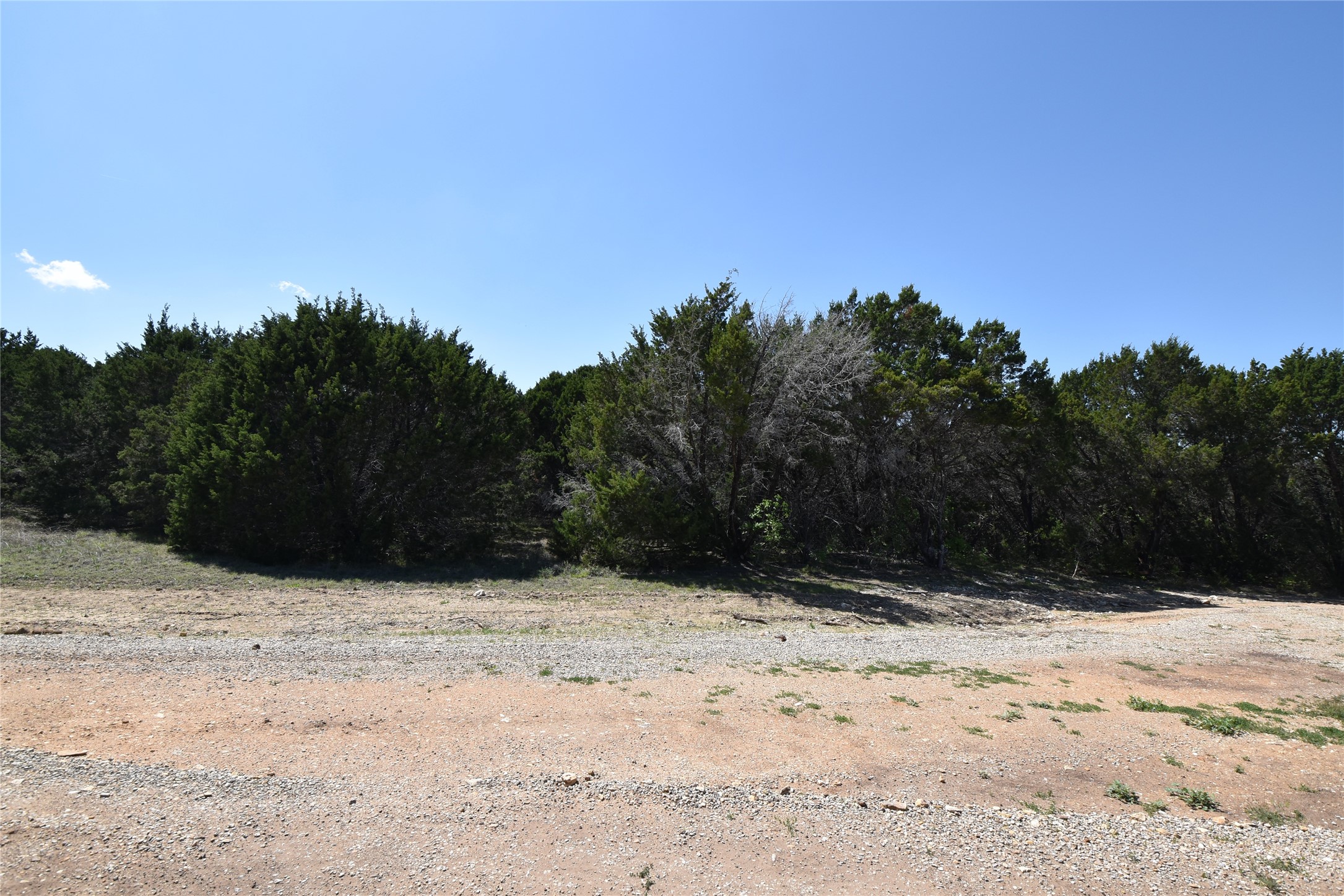1695 Red Bud Court Whitney TX 76692