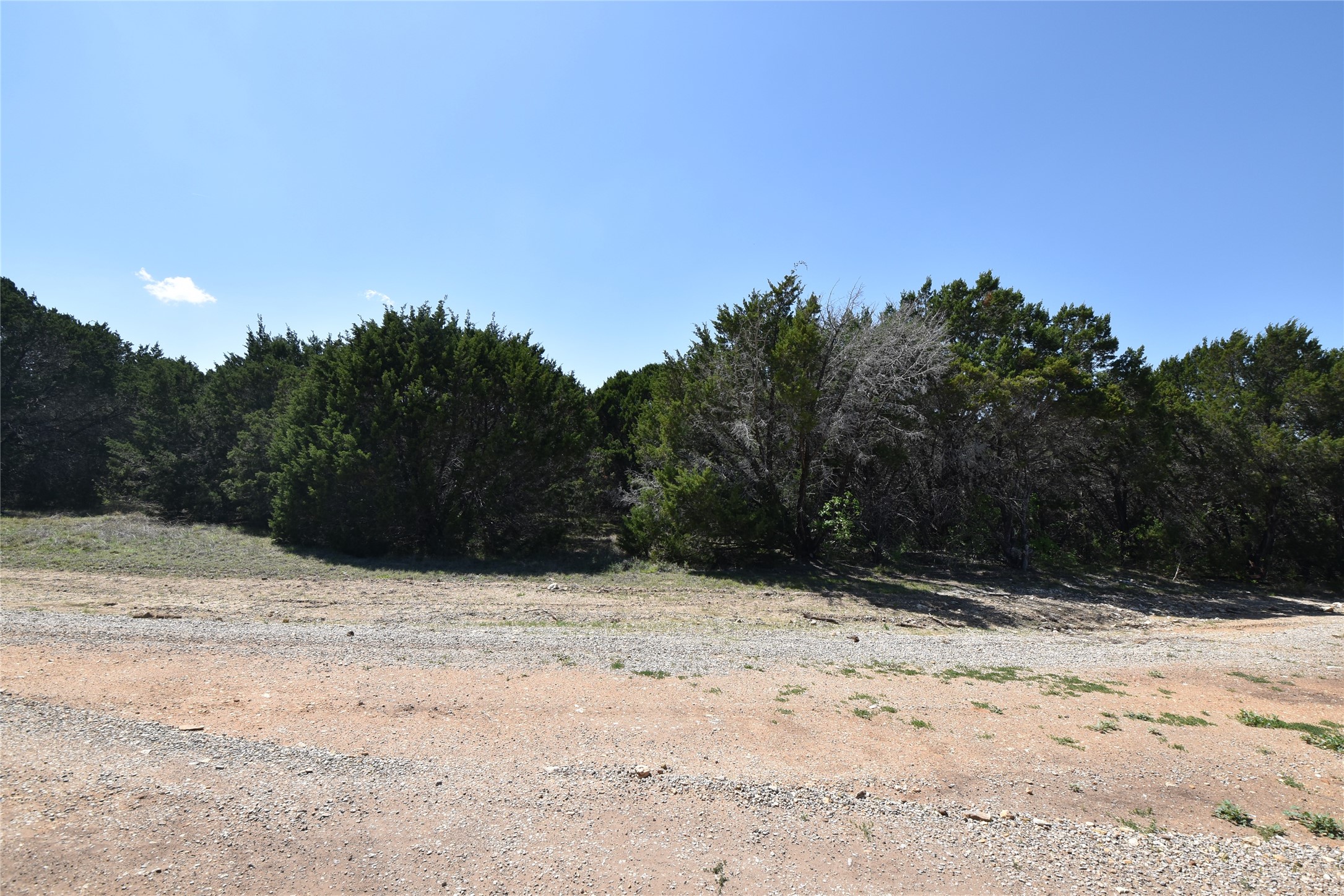 1695 Red Bud Court Whitney TX 76692