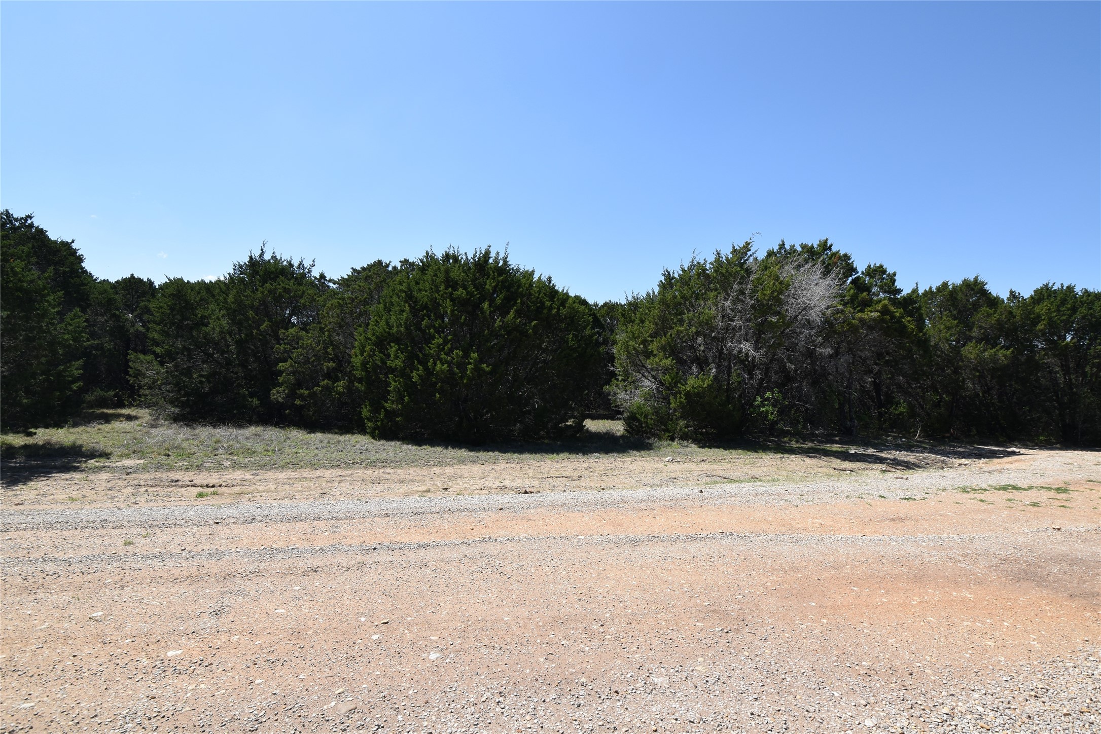 1695 Red Bud Court Whitney TX 76692