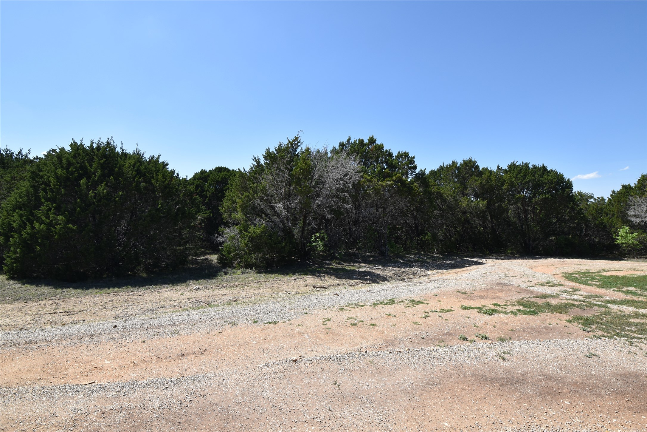 1695 Red Bud Court Whitney TX 76692