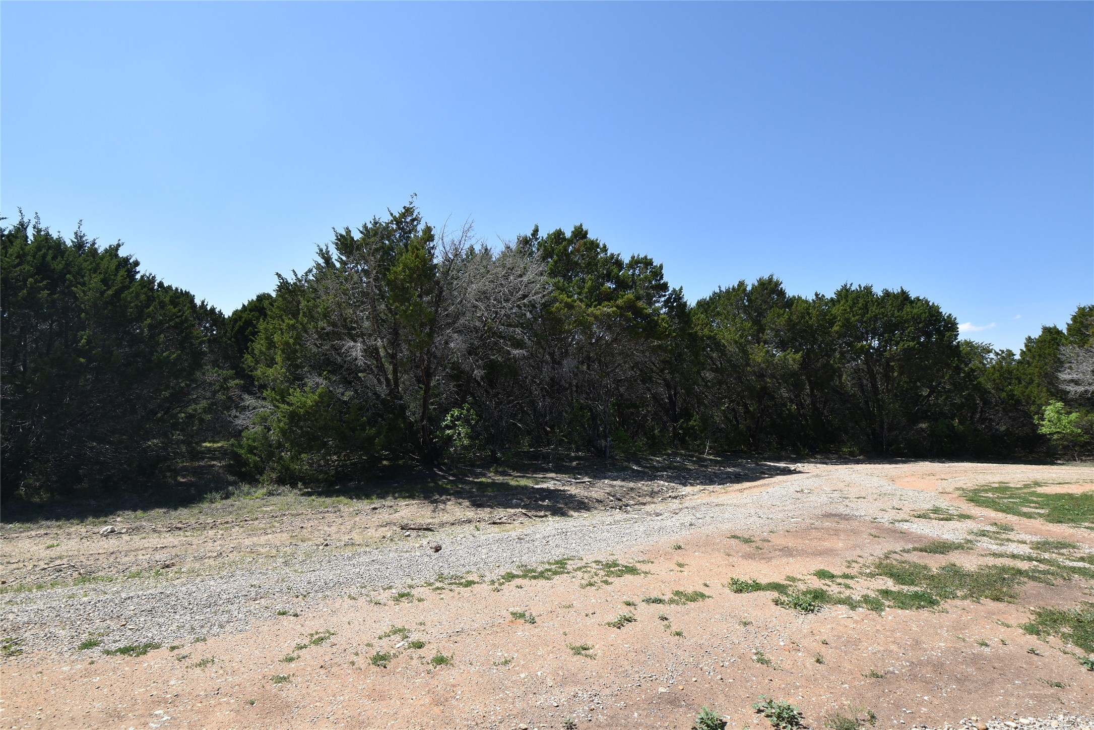 1695 Red Bud Court Whitney TX 76692