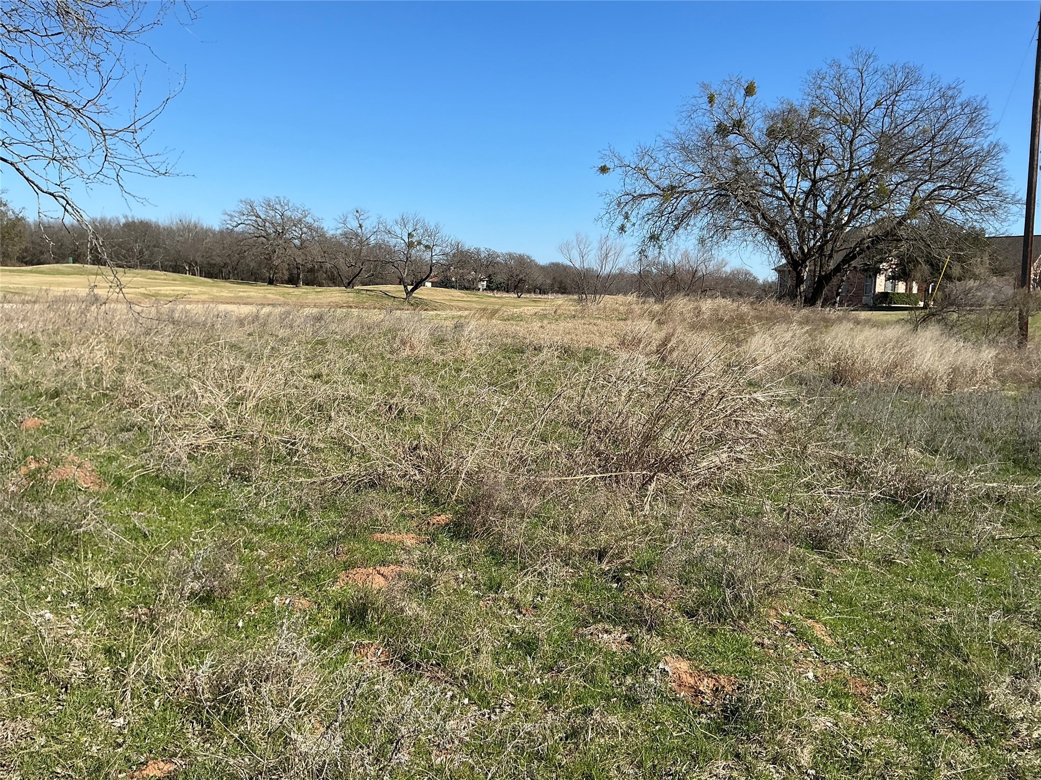 27215 Meadowmore Drive Whitney TX 76692