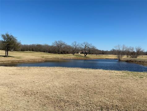 27215 Meadowmore Drive Whitney TX 76692