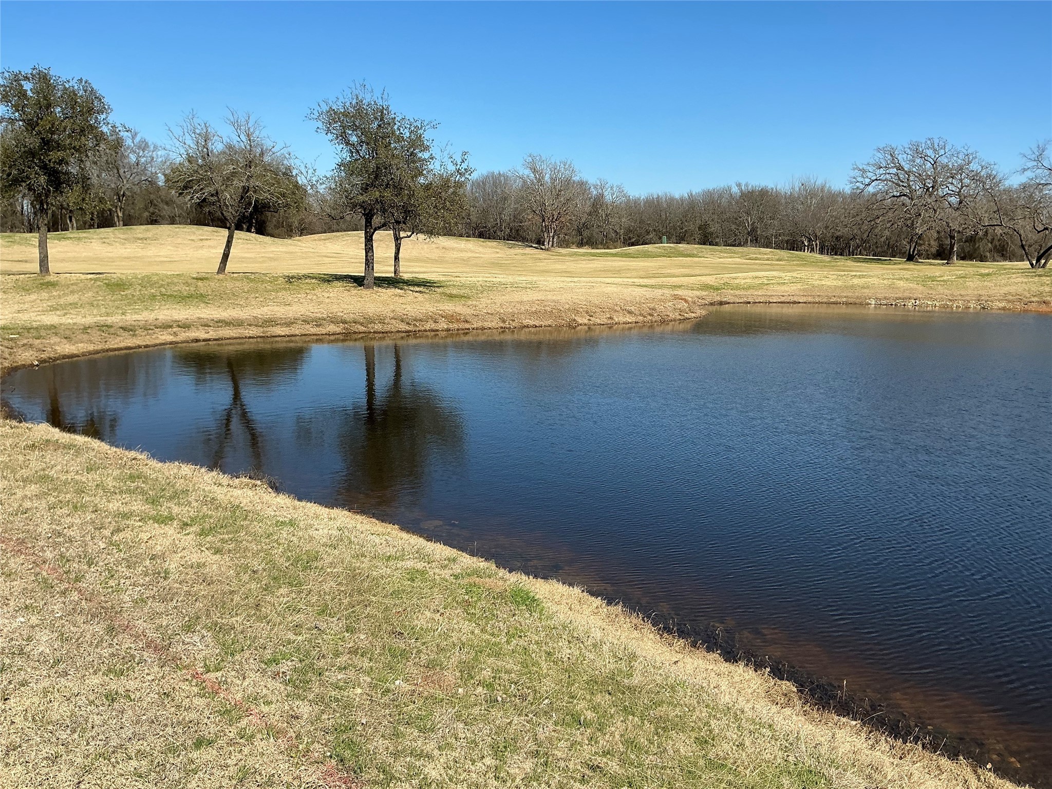 27215 Meadowmore Drive Whitney TX 76692