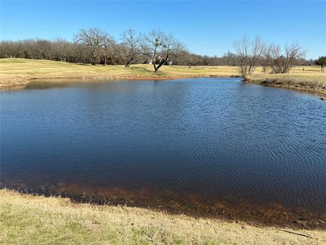 27215 Meadowmore Drive Whitney TX 76692