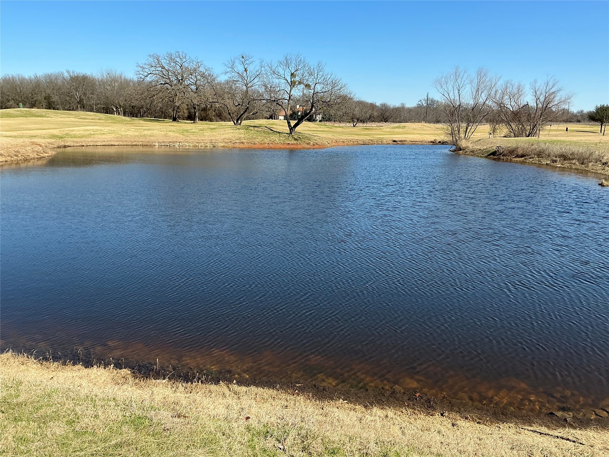27215 Meadowmore Drive Whitney TX 76692