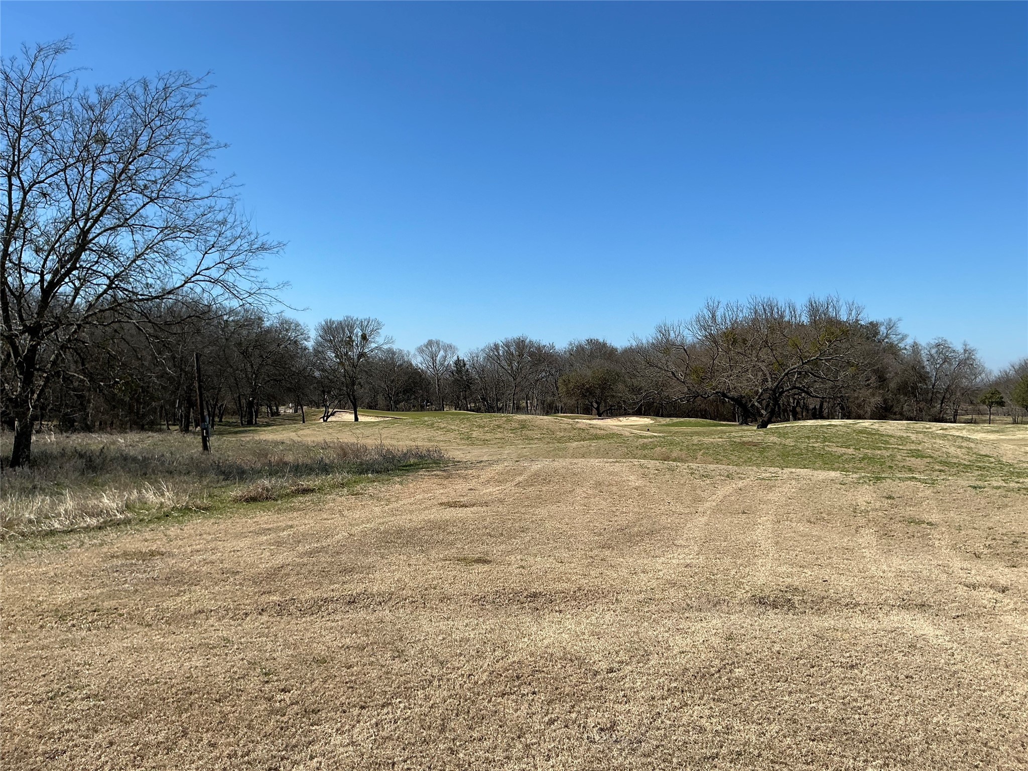 27215 Meadowmore Drive Whitney TX 76692