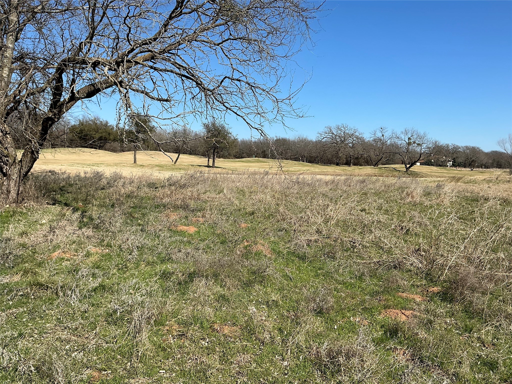 27215 Meadowmore Drive Whitney TX 76692
