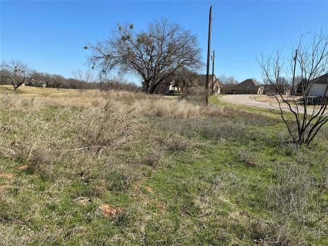 27215 Meadowmore Drive Whitney TX 76692