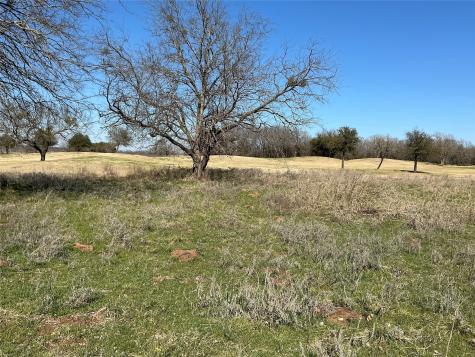 27215 Meadowmore Drive Whitney TX 76692