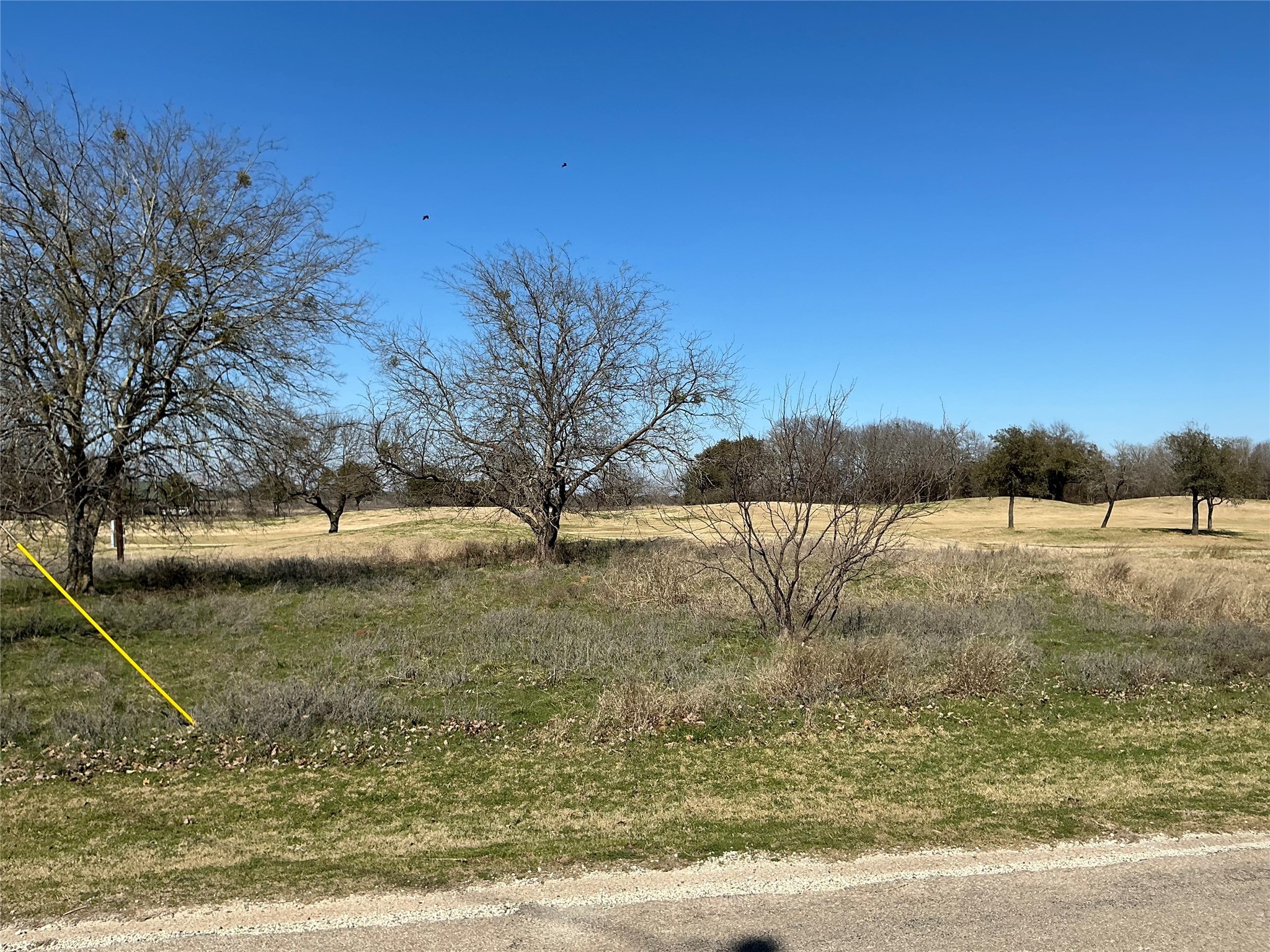 27215 Meadowmore Drive Whitney TX 76692