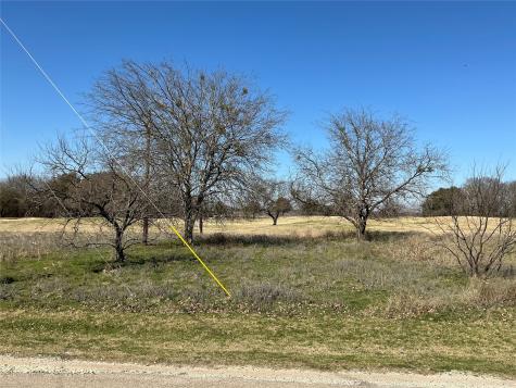 27215 Meadowmore Drive Whitney TX 76692