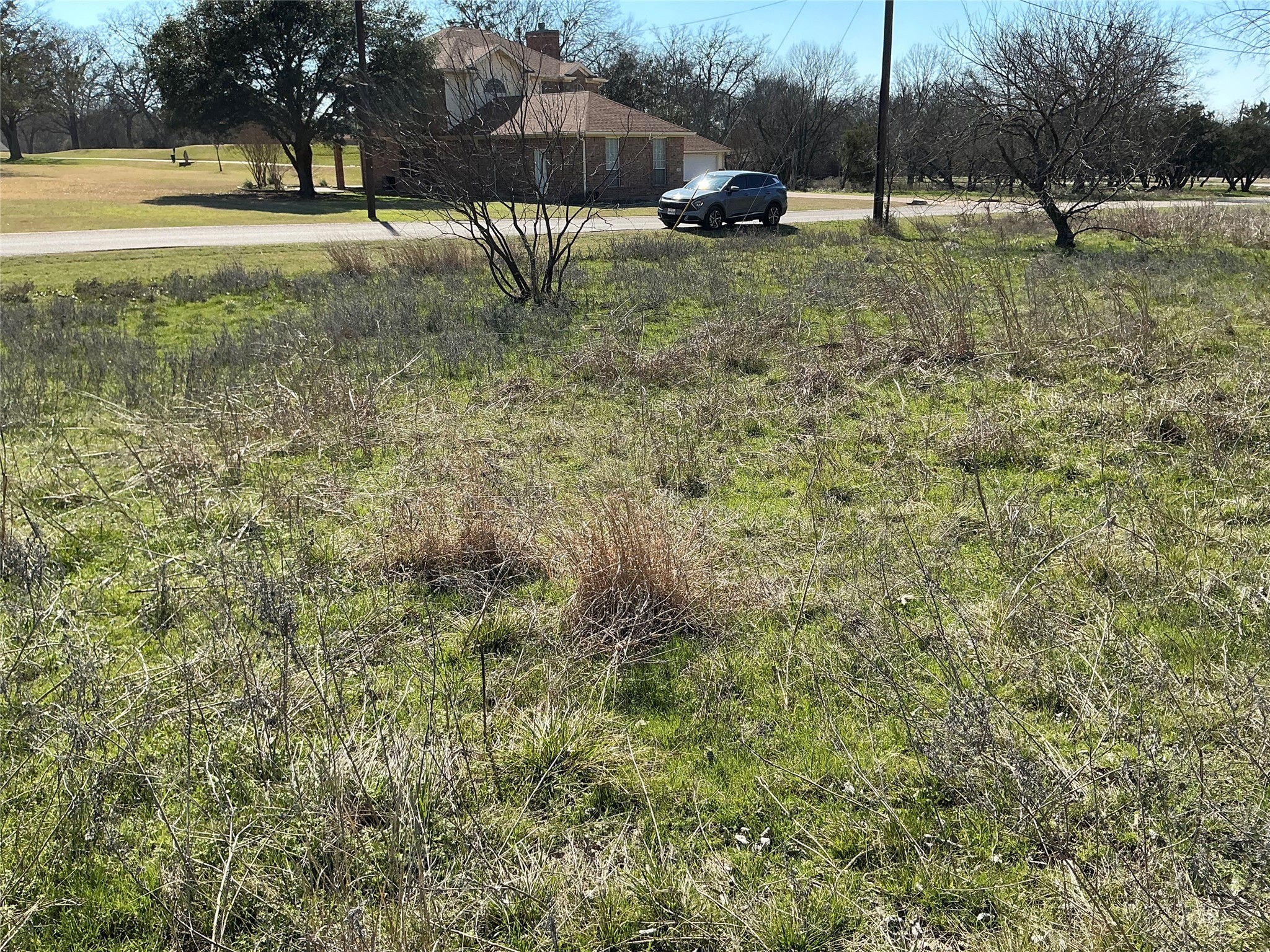 27215 Meadowmore Drive Whitney TX 76692
