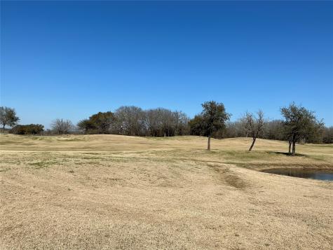 27215 Meadowmore Drive Whitney TX 76692