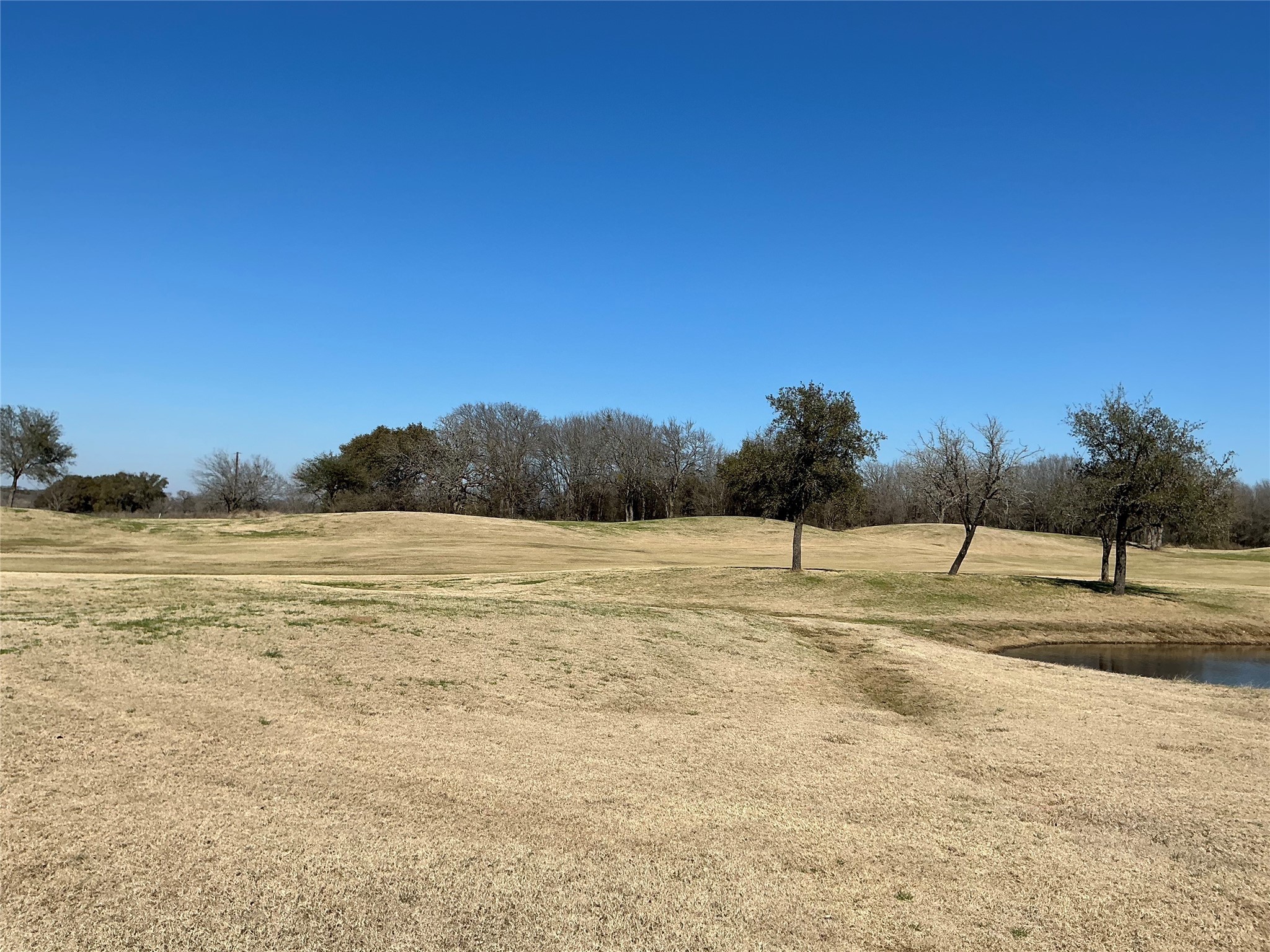 27215 Meadowmore Drive Whitney TX 76692
