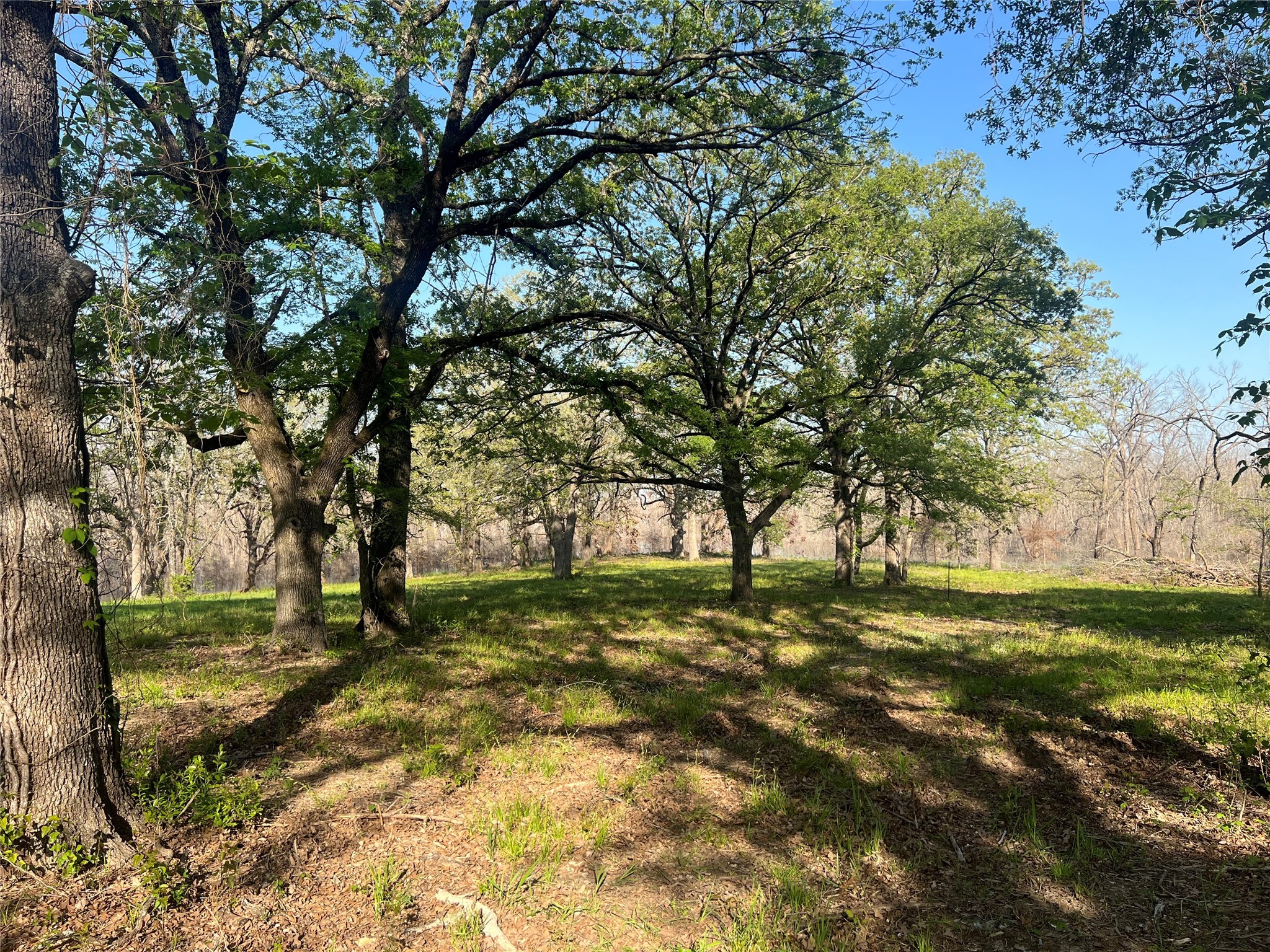 4776 C R 2610 Bonham TX 75418