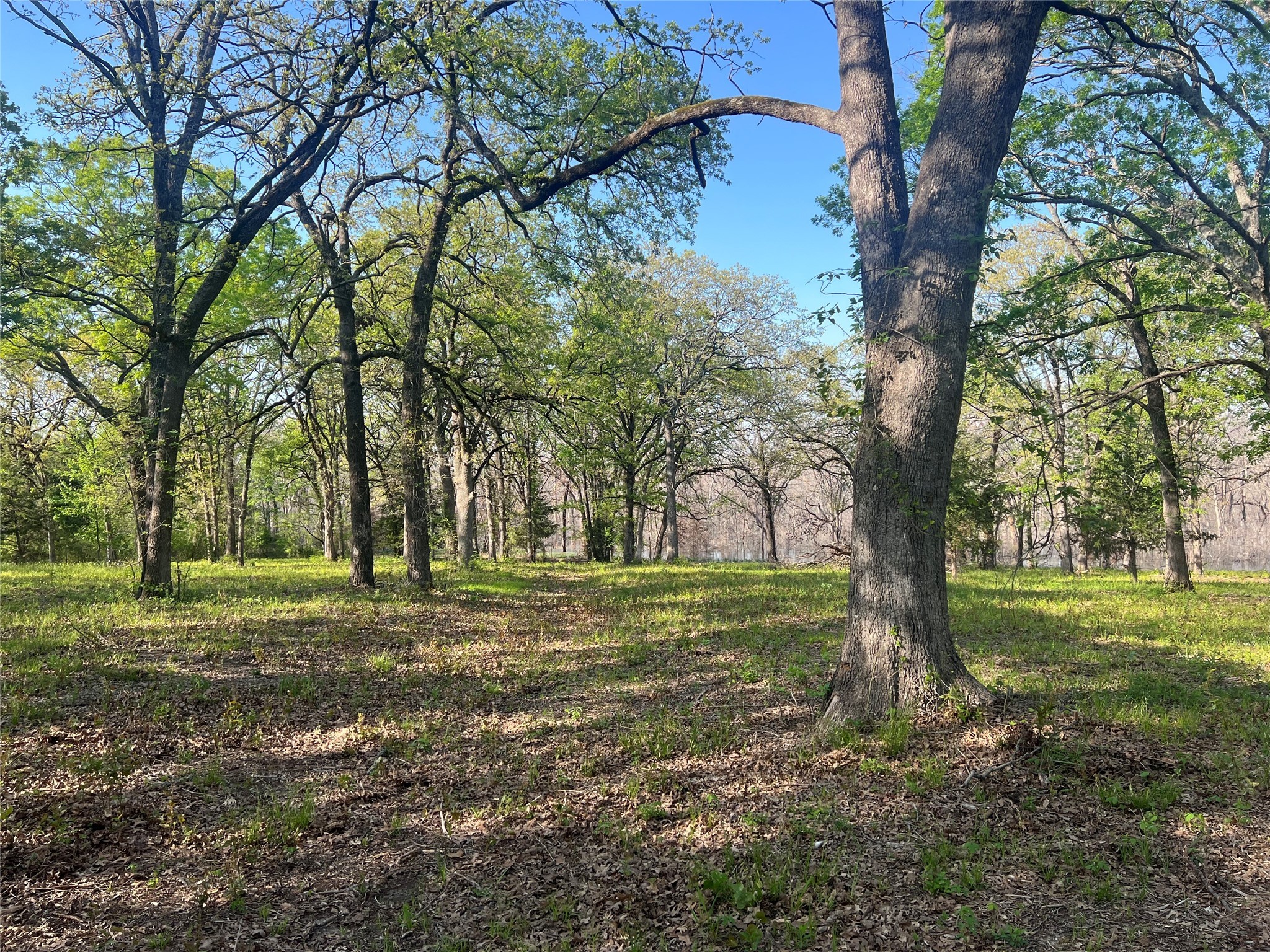4776 C R 2610 Bonham TX 75418