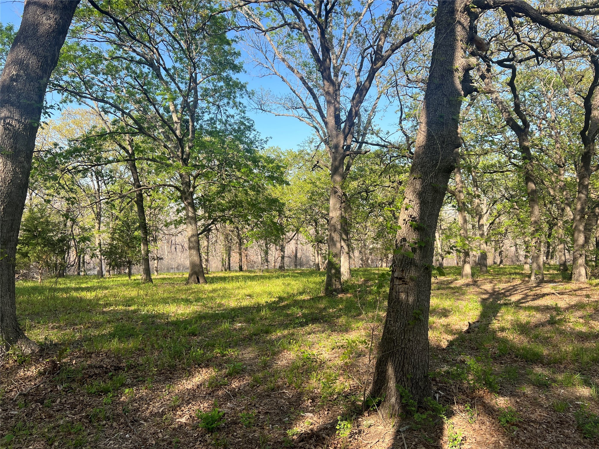 4776 C R 2610 Bonham TX 75418