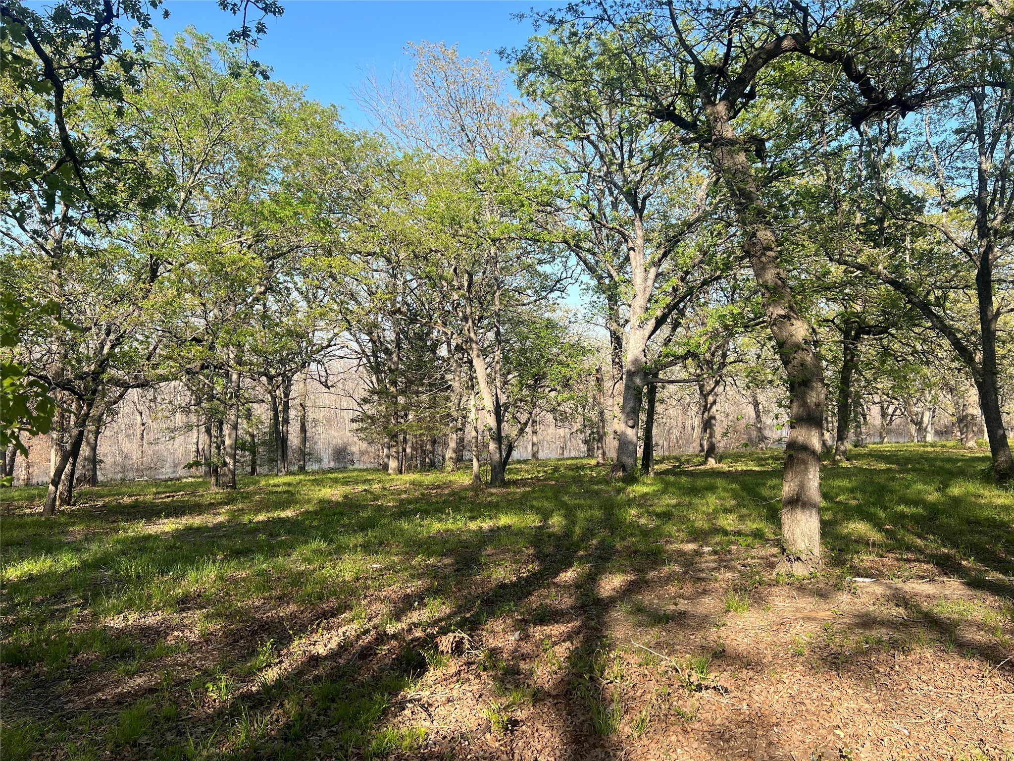 4776 C R 2610 Bonham TX 75418