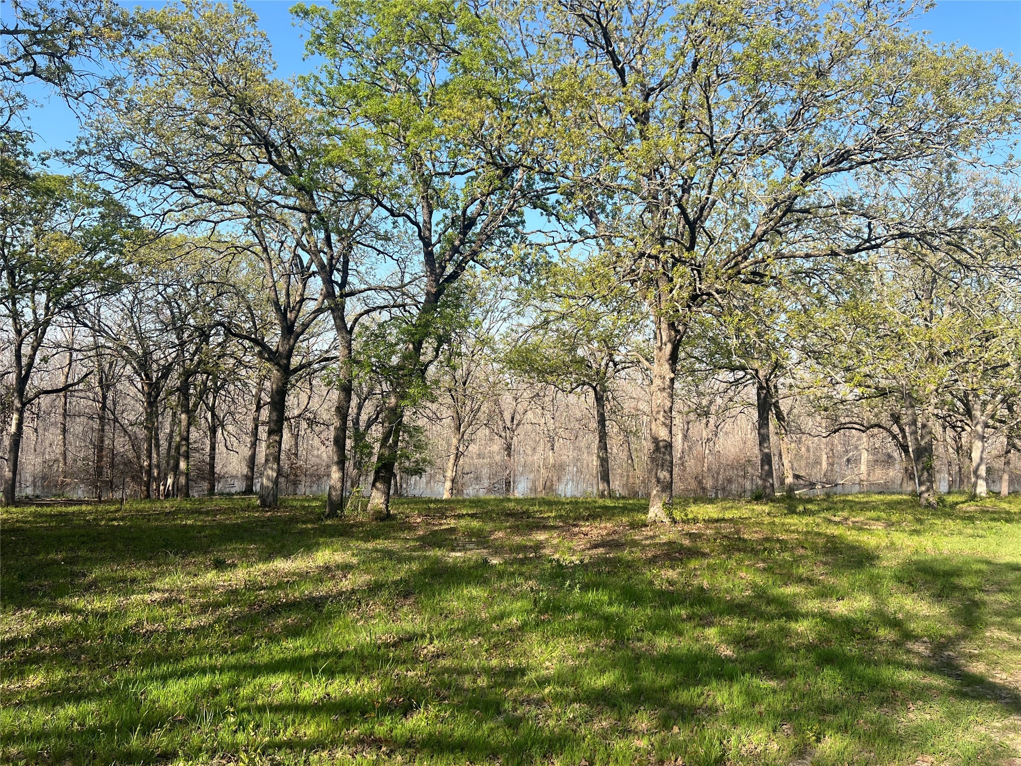 4776 C R 2610 Bonham TX 75418