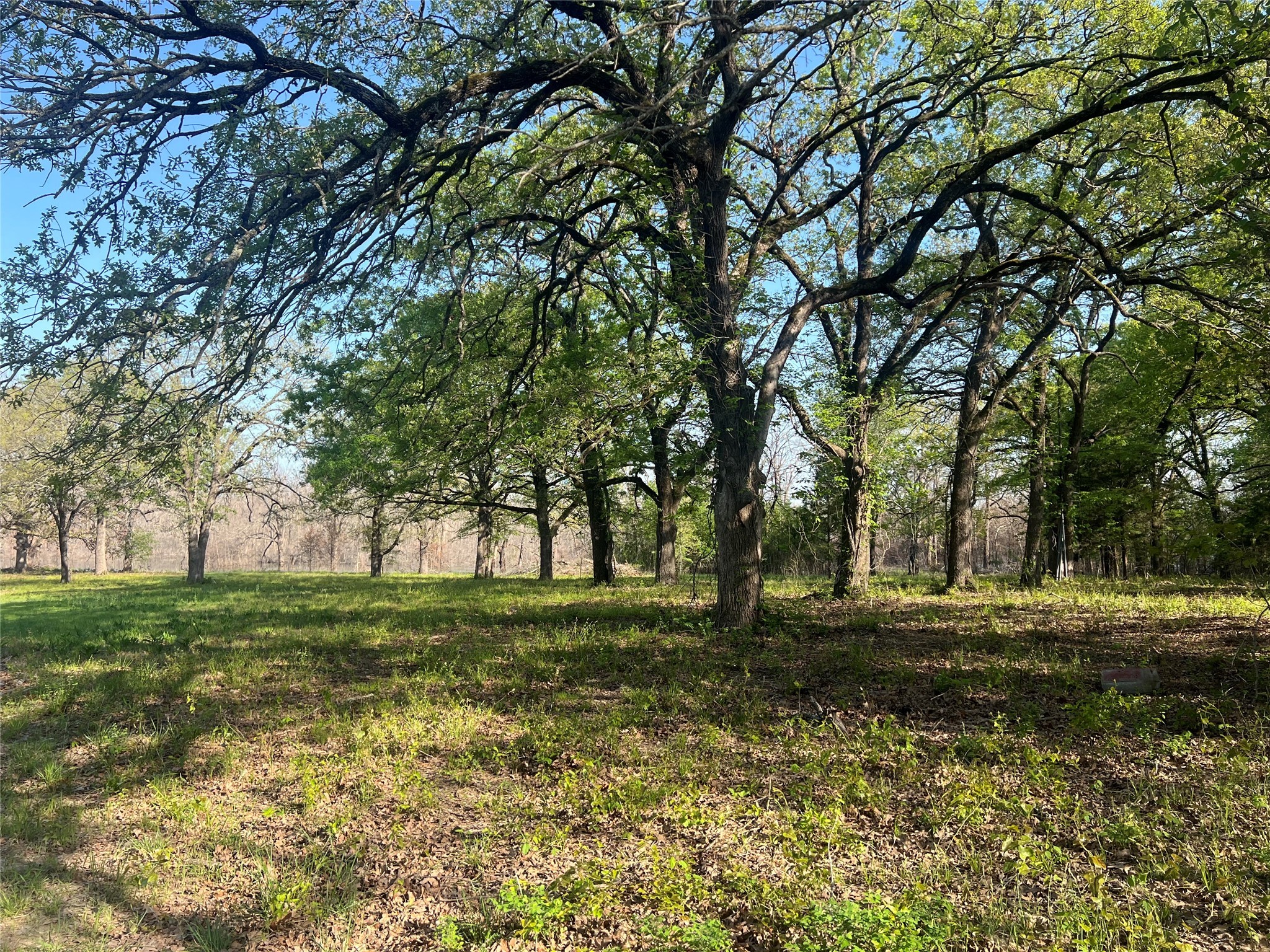 4776 C R 2610 Bonham TX 75418