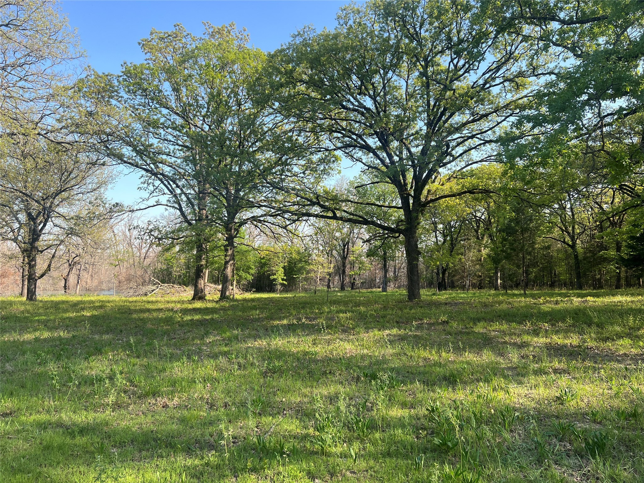 4776 C R 2610 Bonham TX 75418