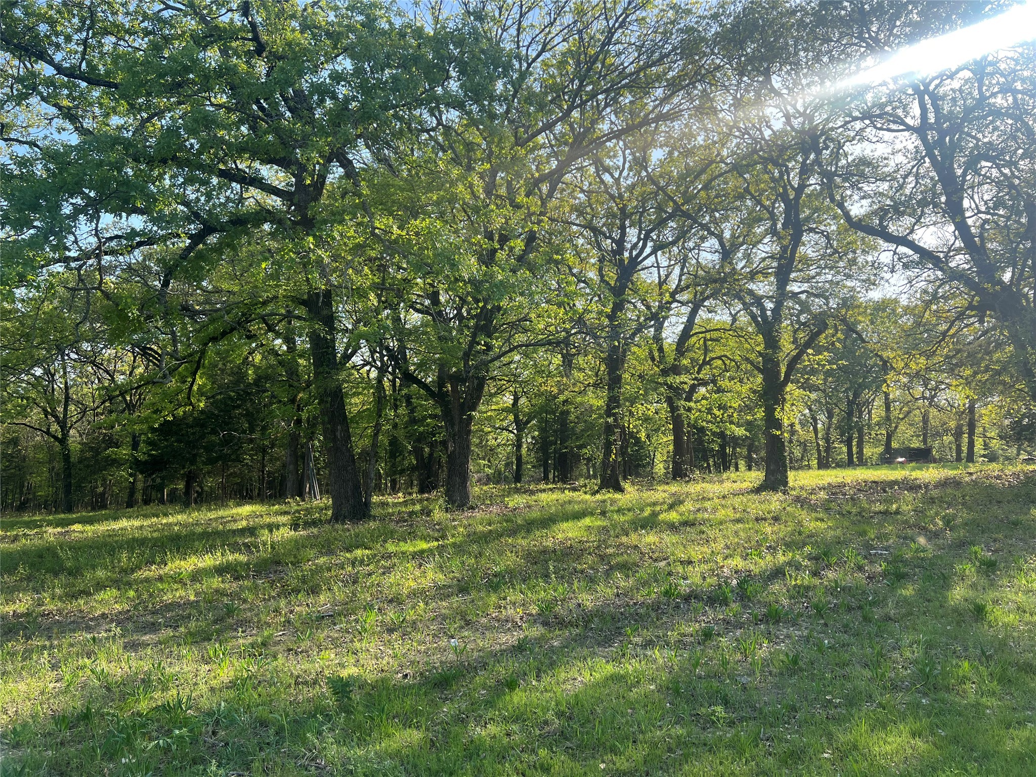 4776 C R 2610 Bonham TX 75418