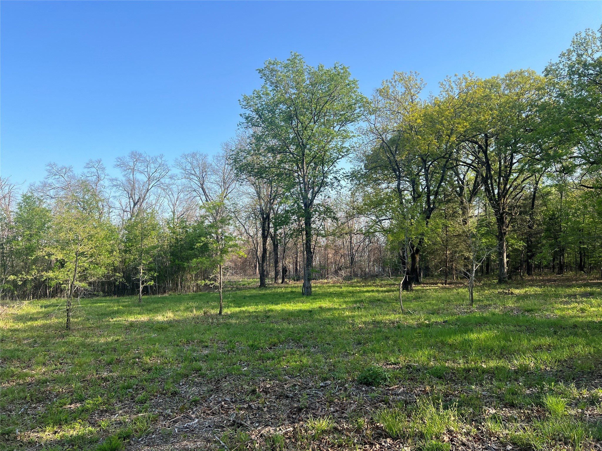 4776 C R 2610 Bonham TX 75418