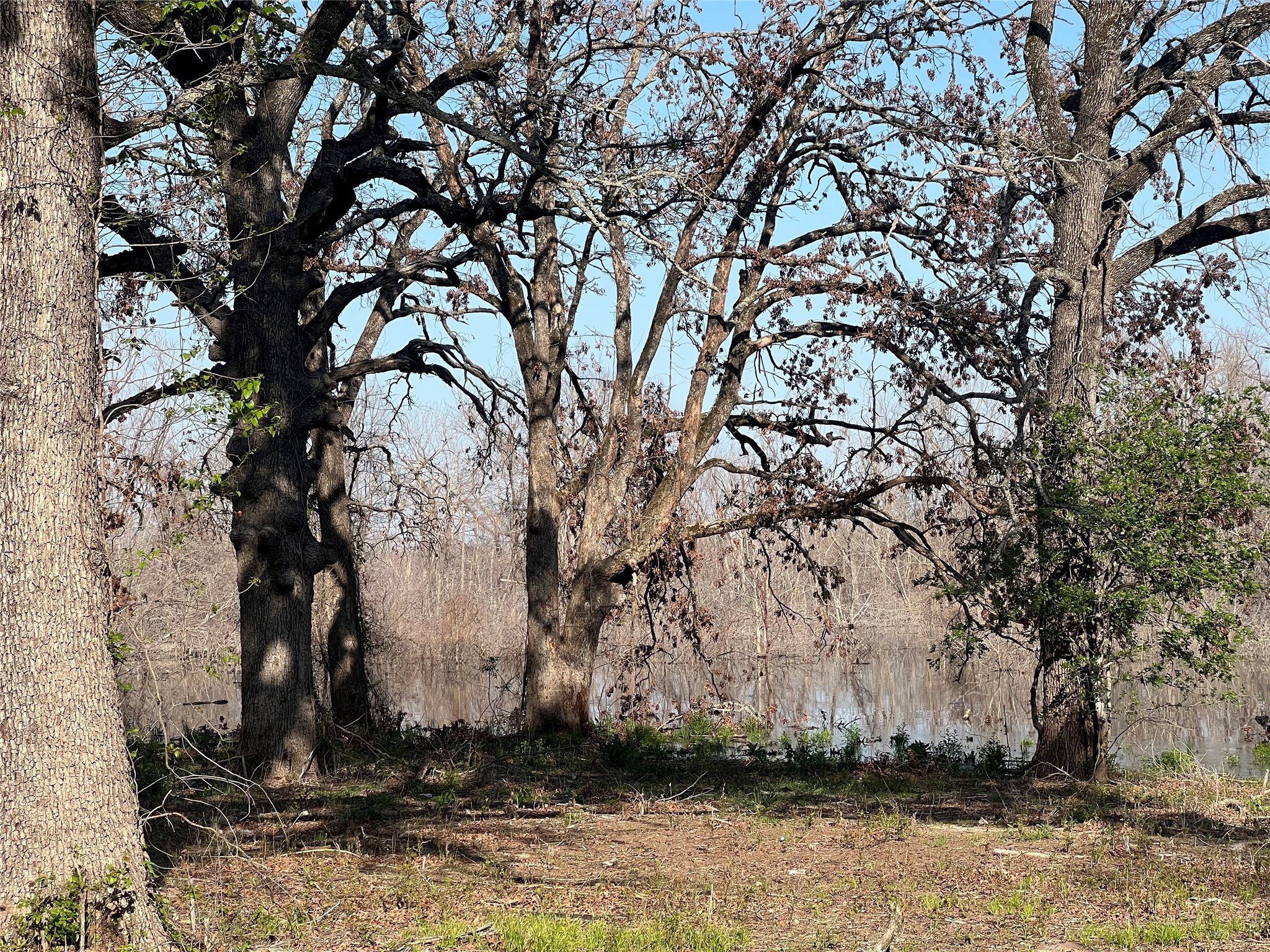 4776 C R 2610 Bonham TX 75418