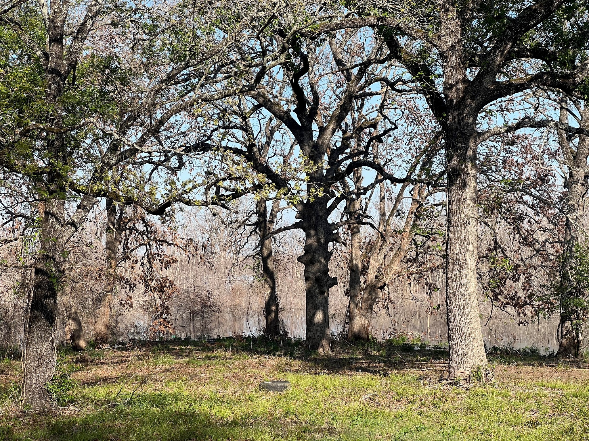 4776 C R 2610 Bonham TX 75418