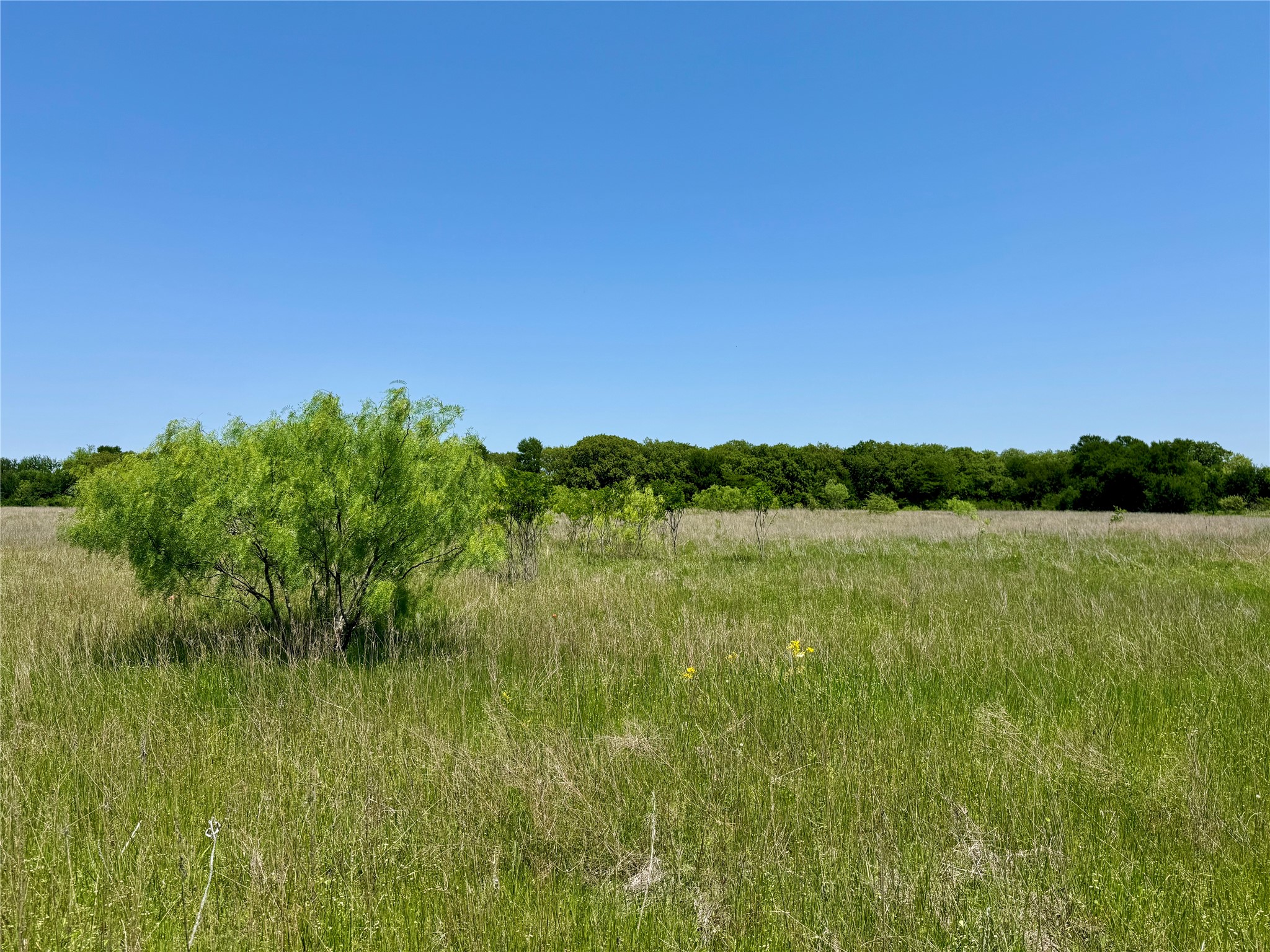 0 Clater Powell Road Gholson TX 76705